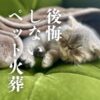 ペット火葬で後悔したくない方へ。東京の訪問火葬サービスをご紹介