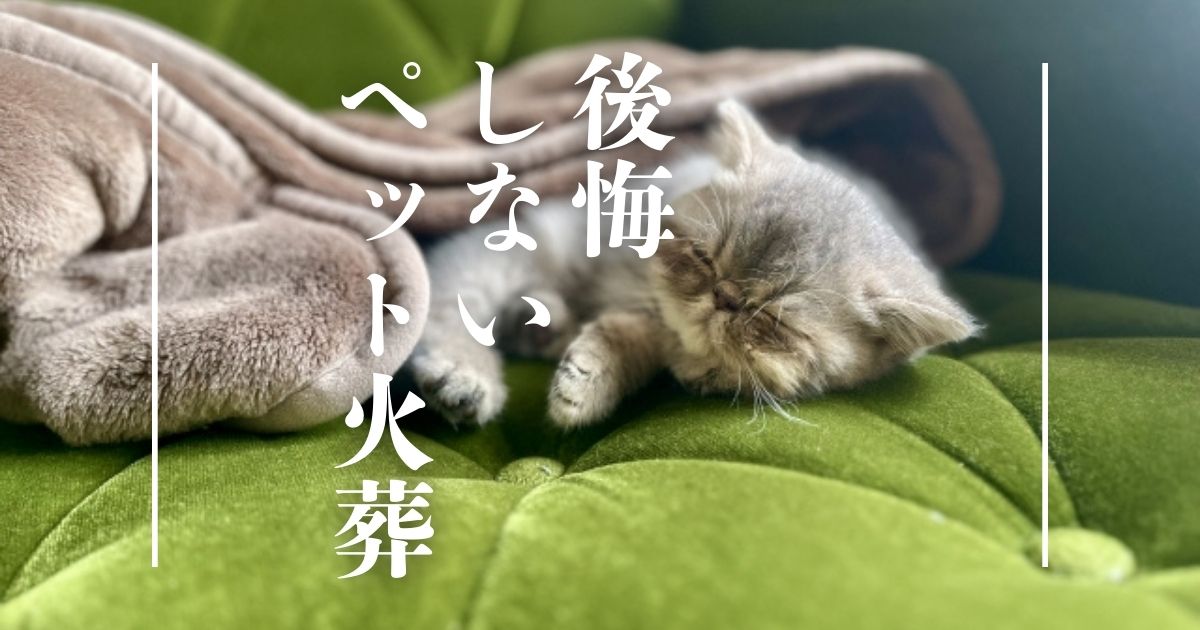 ペット火葬で後悔したくない方へ。東京の訪問火葬サービスをご紹介